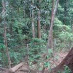 dsc03392